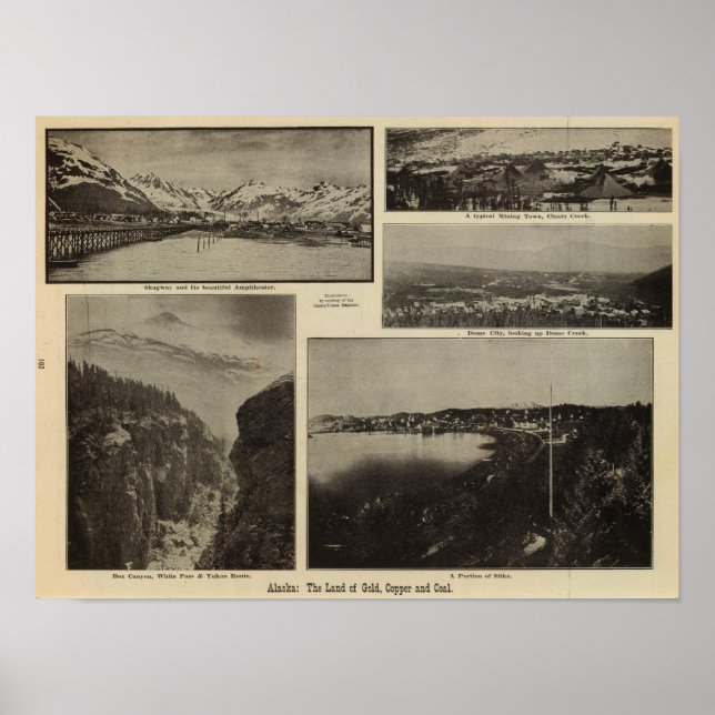 Póster Alasca 7 (Frente)