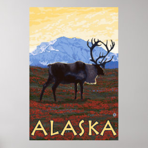 Póster Alaska - caribu