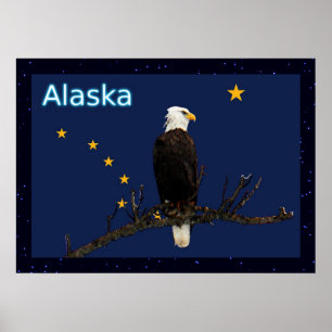 Póster Alaska Eagle E Flag