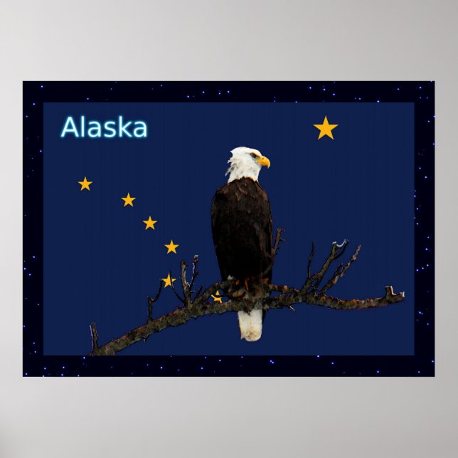Poster Alaska Eagle E Flag (Frente)