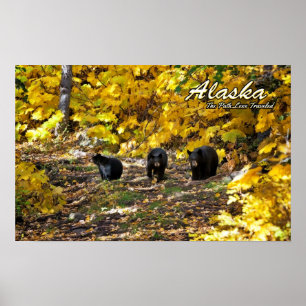 Póster Alaska, o caminho menos percorrido