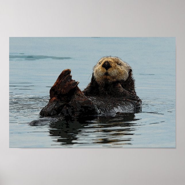 Póster Alaskan Sea Otter (Frente)