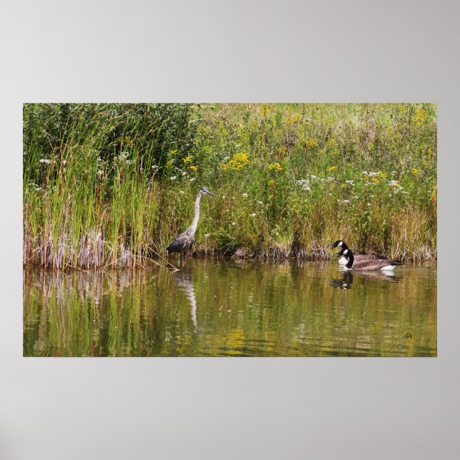 Póster Alavanca (Frente)