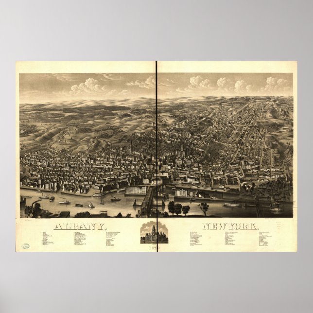 Póster Albany, NY Birds, 1879, Ver Mapa Panorâmico (Frente)