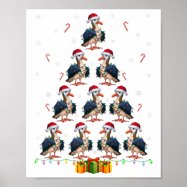 Poster Albatross Santa Hat Xmas Luzes Homens Mulheres Nat (Frente)