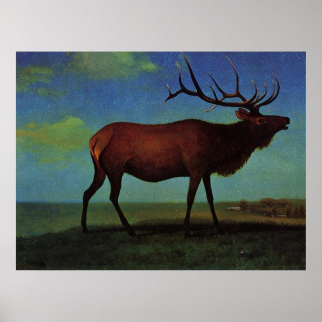 Póster Albert Bierstadt, Elk (Frente)
