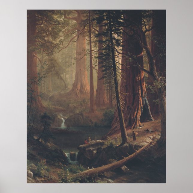 Poster Albert Bierstadt Giant Redwood Trees da Califórnia (Frente)