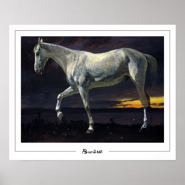 Poster Albert Bierstadt Zedign Cartaz de Arte #19 (Frente)