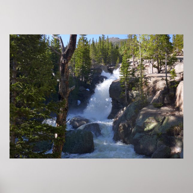 Poster Alberta Falls I (Frente)