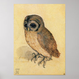Póster Albrecht Durer, A Pequena Coruja