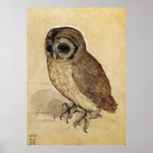 Poster Albrecht Durer, A Pequena Coruja