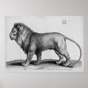 Póster Albrecht Durer Engraving Lion