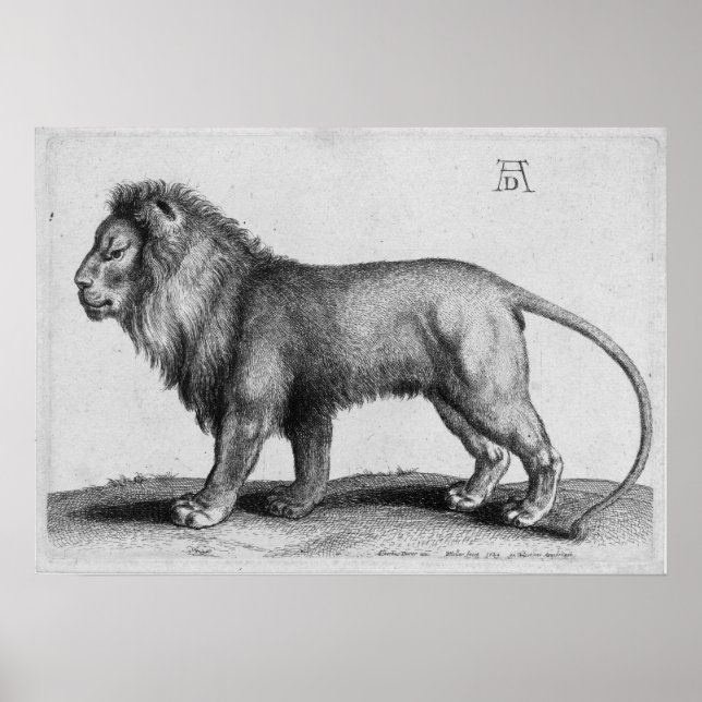 Póster Albrecht Durer Engraving Lion (Frente)