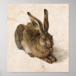 Póster Albrecht Dürer - Junger Hase (lebre nova), 1502