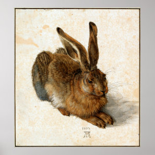 Póster ALBRECHT DÜRER - lebre nova 1502
