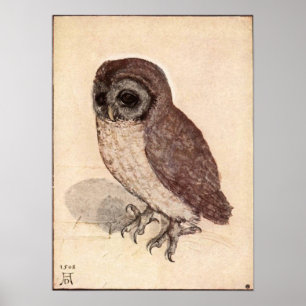 Póster Albrecht Durer Little Owl