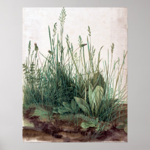 Poster Albrecht Dürer O Grande Pedaço de Turf