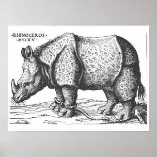 Póster Albrecht Durer - Rinoceronte