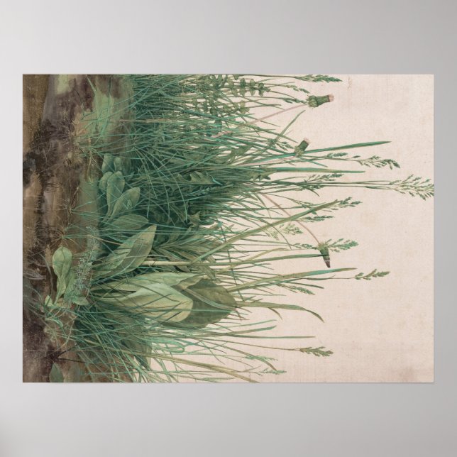 Póster Albrecht Durer Sketch (Frente)
