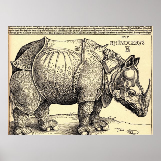 Póster Albrecht Durer Sketching (Frente)