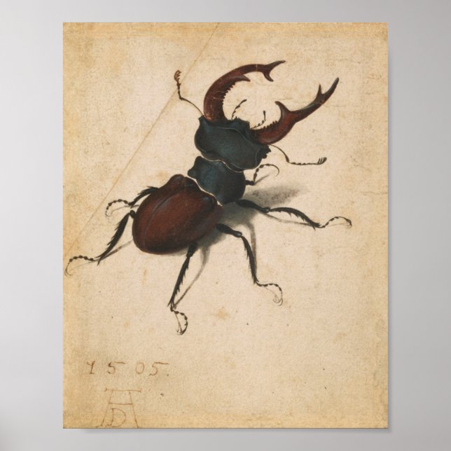 Póster Albrecht Durer Stag Beetle Renaissance Vintage Art (Frente)