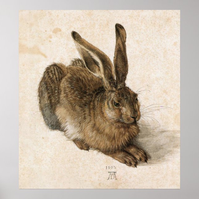 Poster Albrecht Durer Young Hare (Frente)