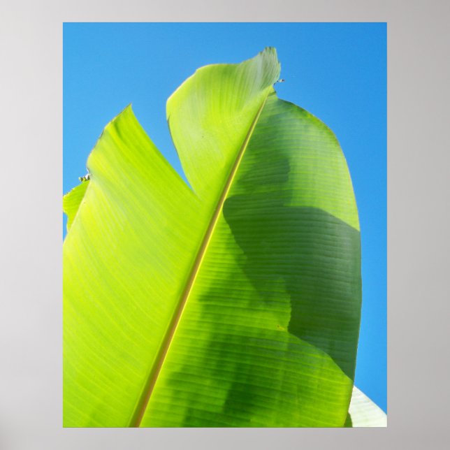 Poster Alcançar o Sol (Frente)