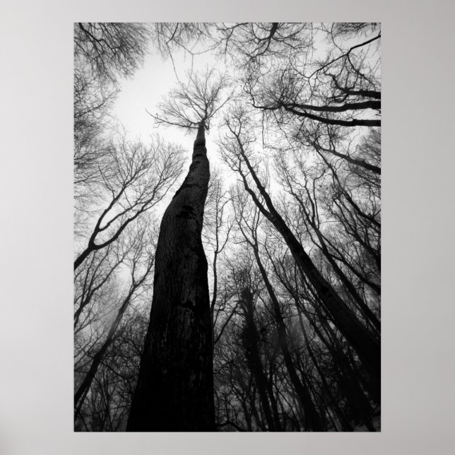 Poster Alcance (Frente)