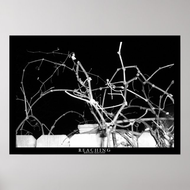 Póster Alcance (Frente)