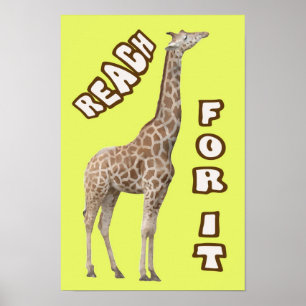 Póster Alcance-A