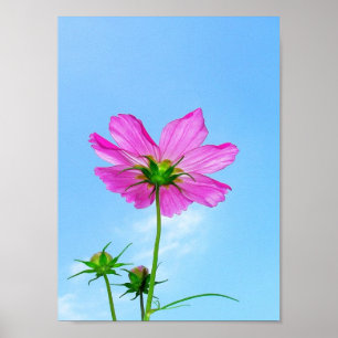 Poster Alcance para a Vida