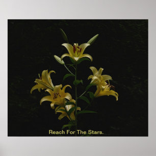 Poster Alcance Para As Estrelas