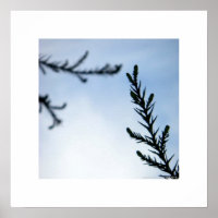 Alcance Para Você/Impressão De Natureza Inspiracio