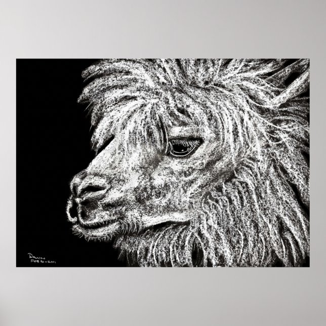 Poster alcapa (Frente)