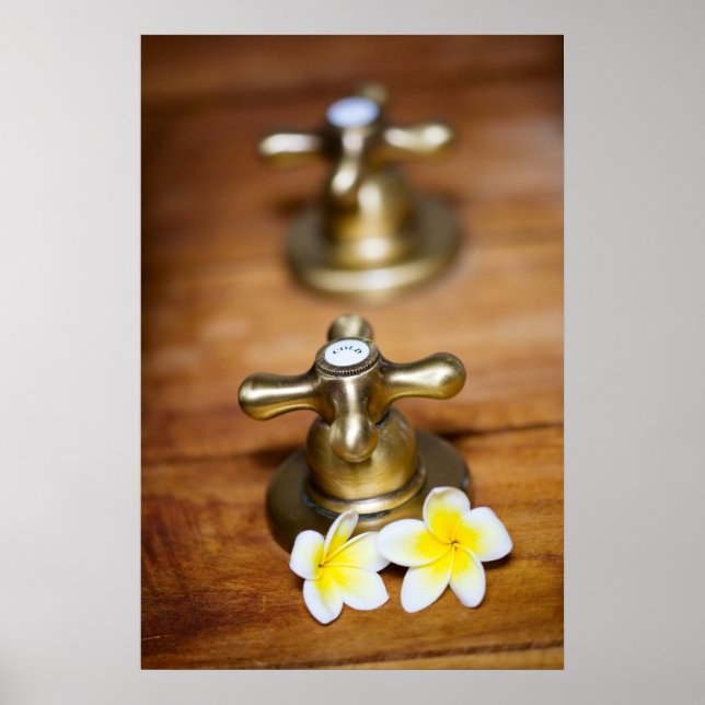 Póster Alças cruzadas (Frente)