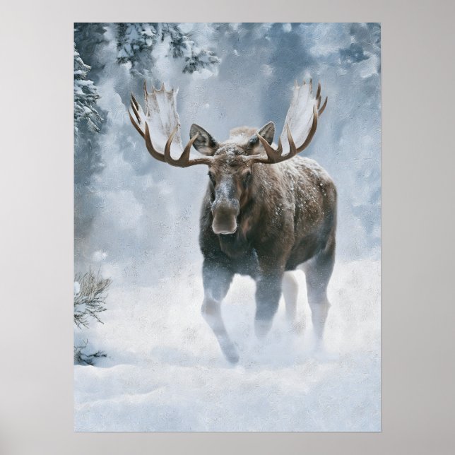 Poster Alce Macho Caminhando pela Neve Boreal (Frente)