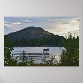Poster Alce Macho, Nascer do Sol, Sprague Lake, Colorado