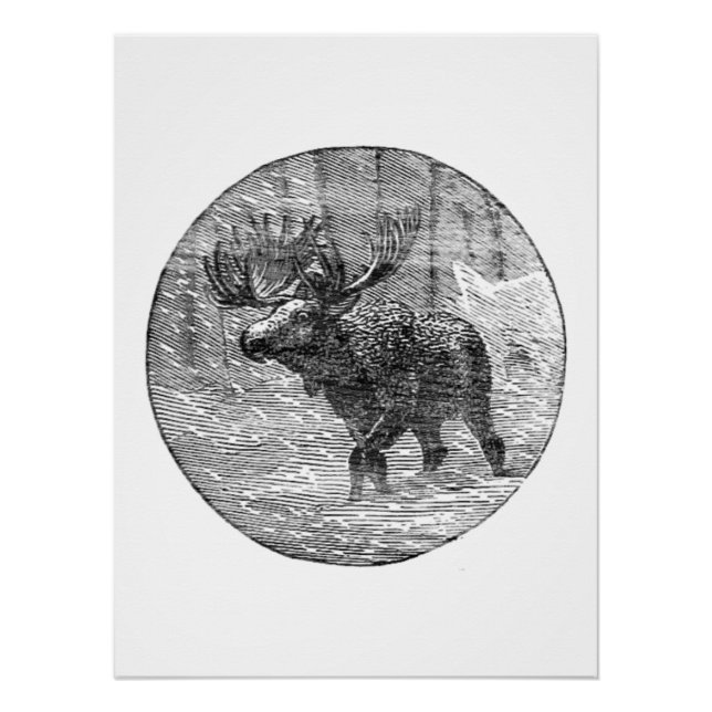 Póster Alce no Emblema da Neve (Frente)
