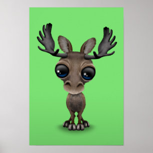 Poster Alces curiosos bonitos com os olhos grandes no