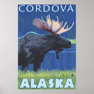 Póster Alces na noite - Cordova, Alaska