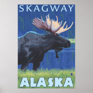 Póster Alces na noite - Skagway, Alaska