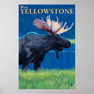 Póster Alces na noite - Yellowstone ocidental, Montana