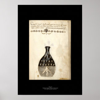 Póster Alchemy Plate 10 Medieval italiana