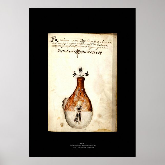 Póster Alchemy Plate 11 Medieval italiana (Frente)