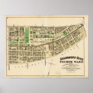 Póster Alegrey ward 4