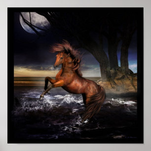 Poster Alegria pura….