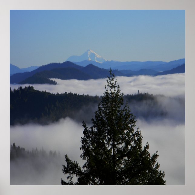 Poster Além da árvore.... (Frente)