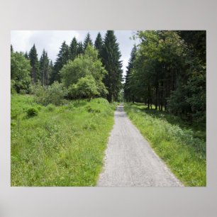 Poster Alemanha, Thuringia, trajeto na floresta