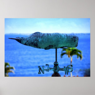 Póster Aleta de tempo da baleia de Humpback