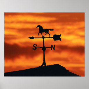 Póster Aleta de tempo no por do sol